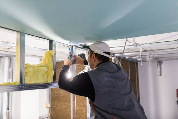 Best Commercial Insulation Contractor  in Chico, TX