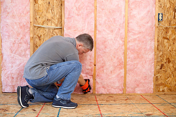 Best Crawl Space Insulation  in Chico, TX