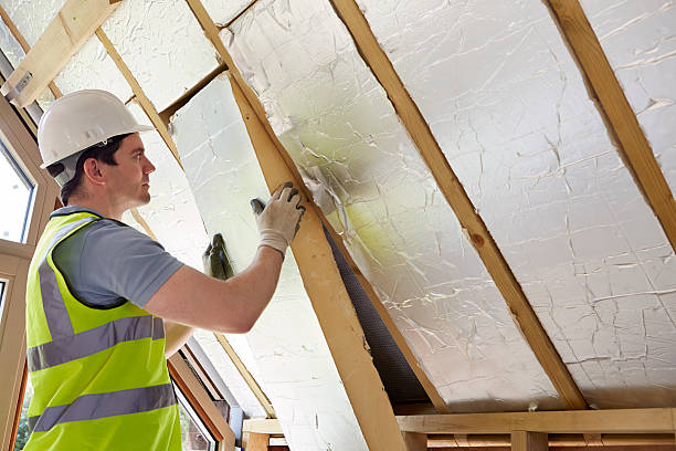 Best Insulation Replacement Services  in Chico, TX