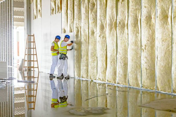 Best Soundproof Insulation Installation  in Chico, TX
